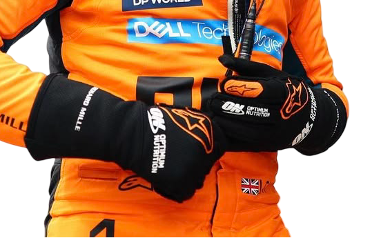 2026 McLaren F1 Racing Gloves - Bestracewear